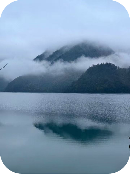 1732085293272517.png image.png